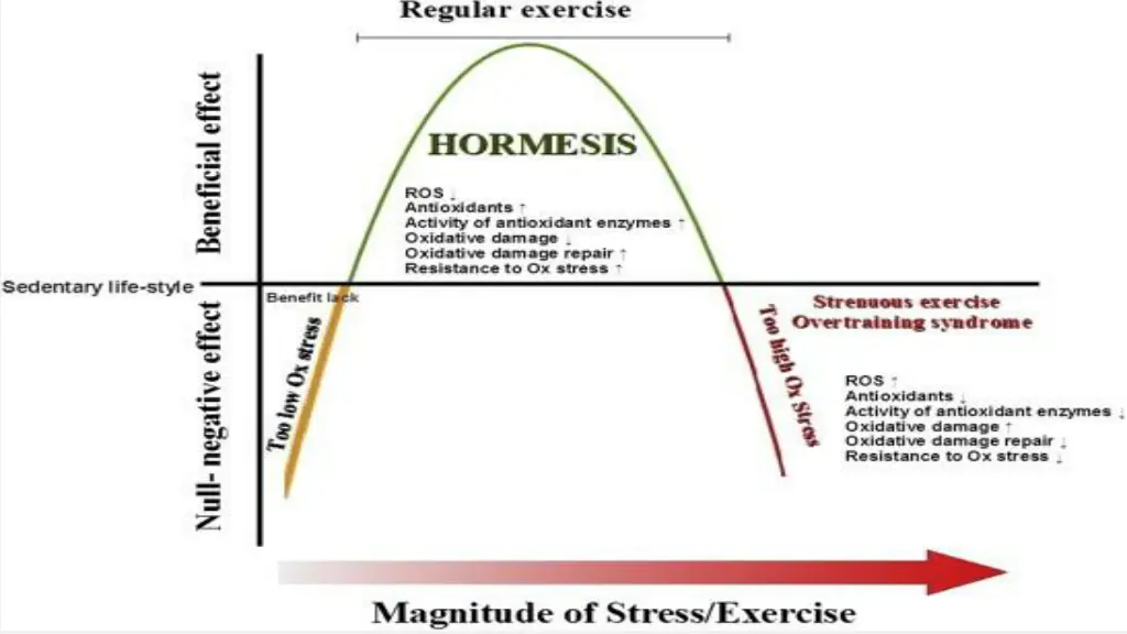 slide3