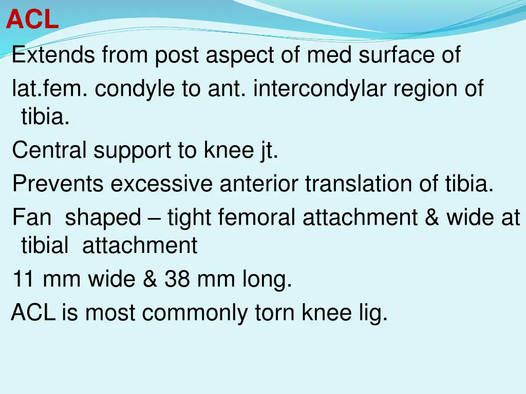 acl extends from post aspect of med surface