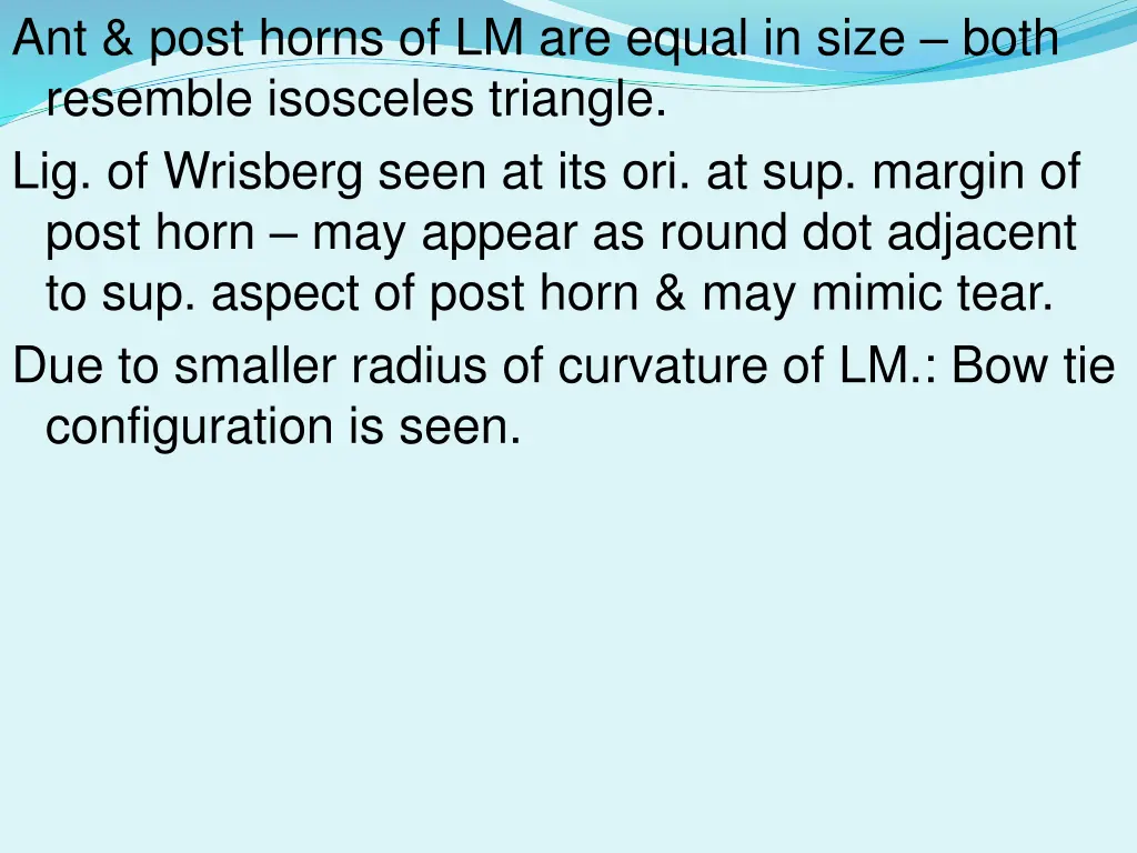 ant post horns of lm are equal in size both
