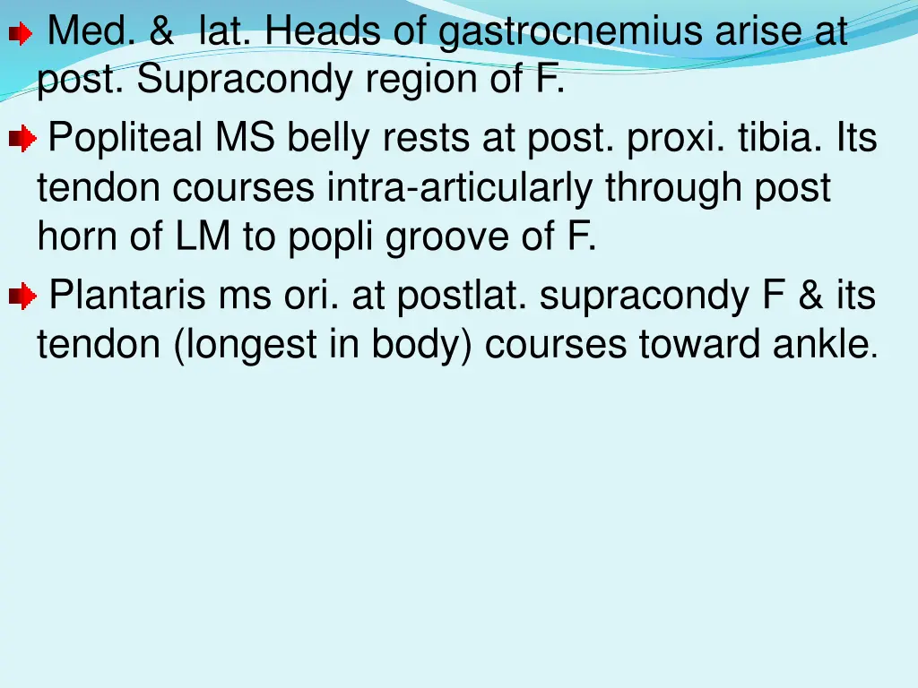 med lat heads of gastrocnemius arise at post