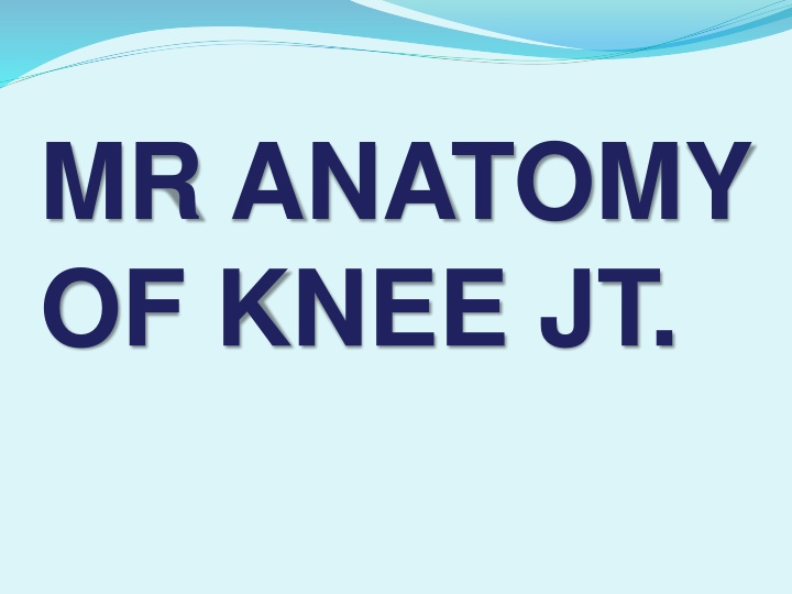 mr anatomy of knee jt