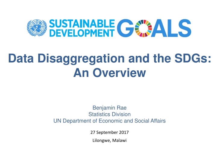 data disaggregation and the sdgs an overview