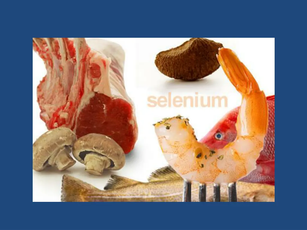 slide23