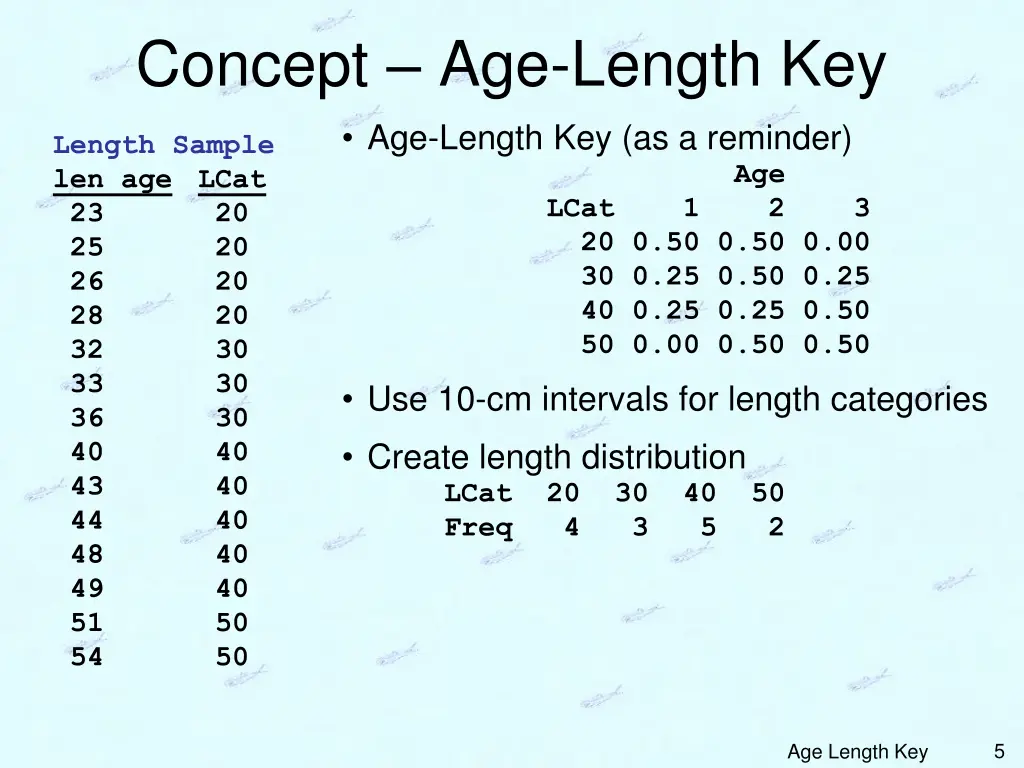 concept age length key 1