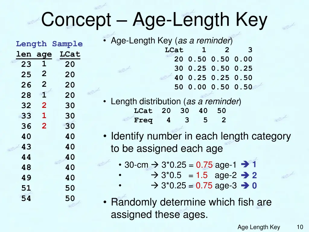 concept age length key 4