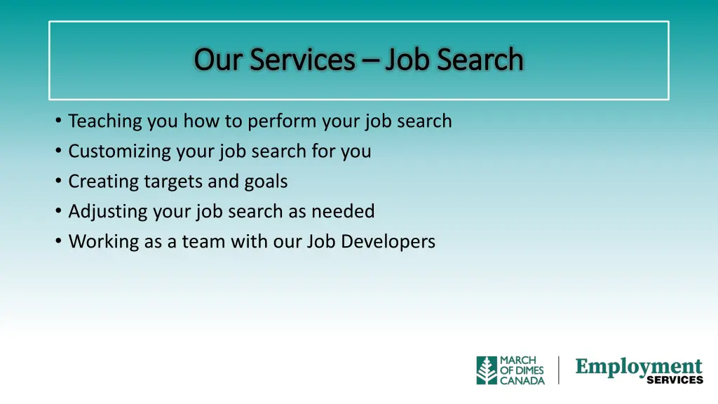 our services our services job search