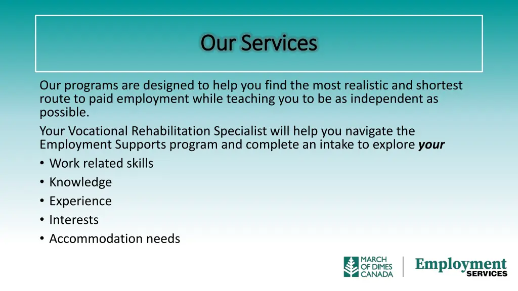 our services our services