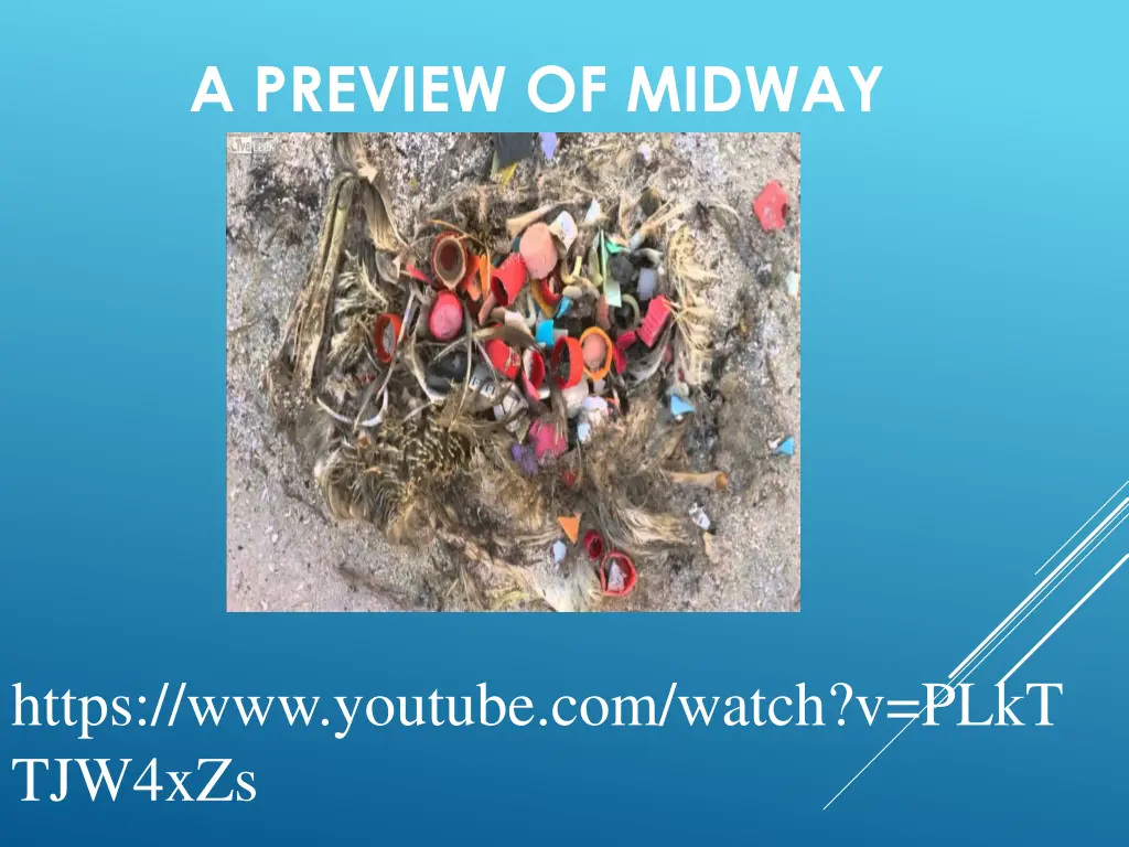 a preview of midway