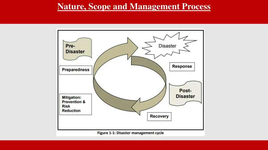 nature scope and management process 4