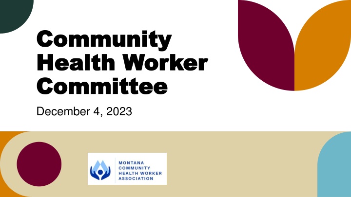 community community health worker health worker