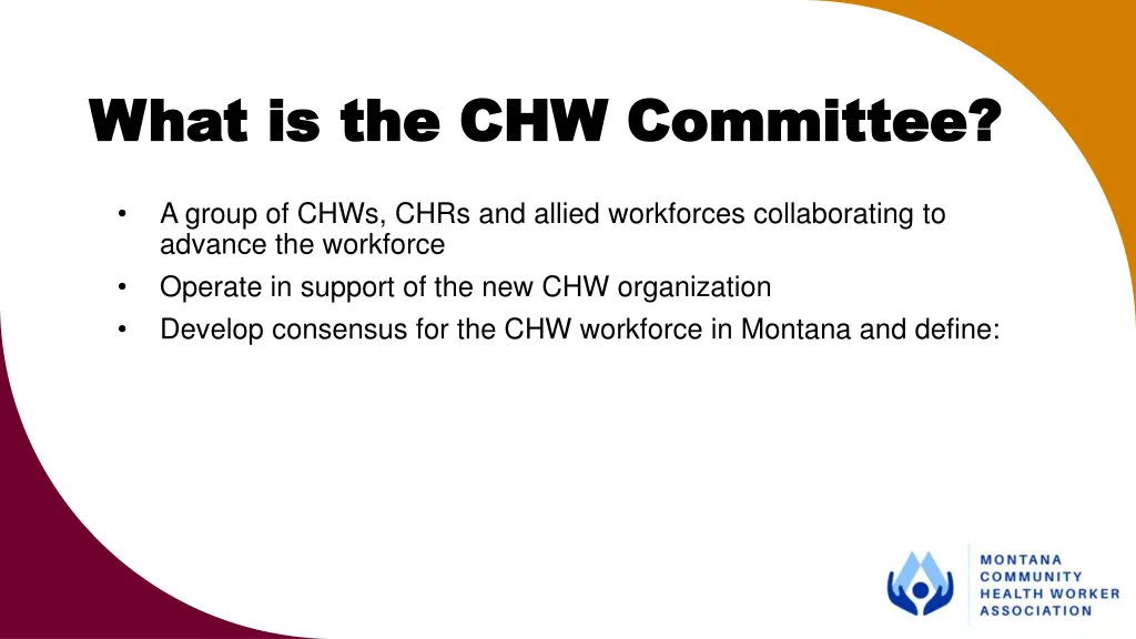what is the chw committee what