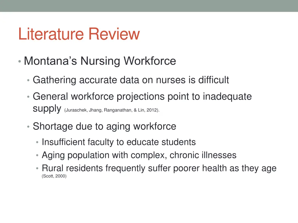 literature review
