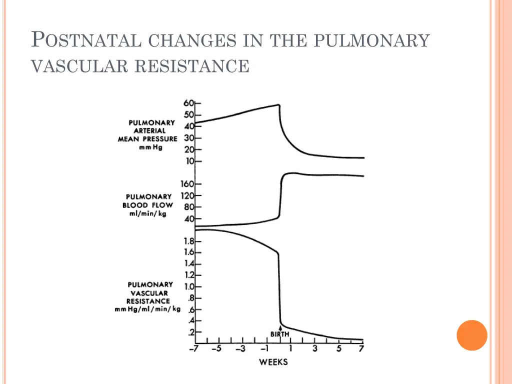 p ostnatal changes in the pulmonary vascular