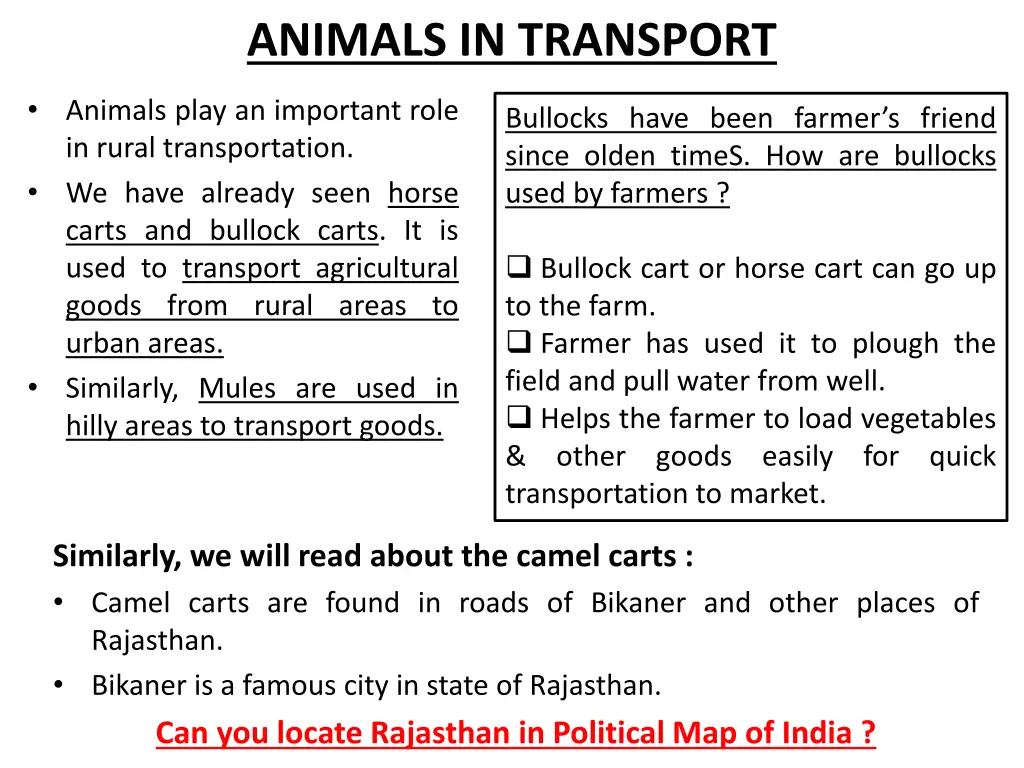 animals in transport