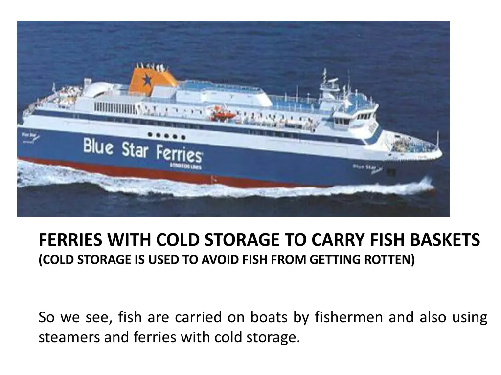 ferries with cold storage to carry fish baskets