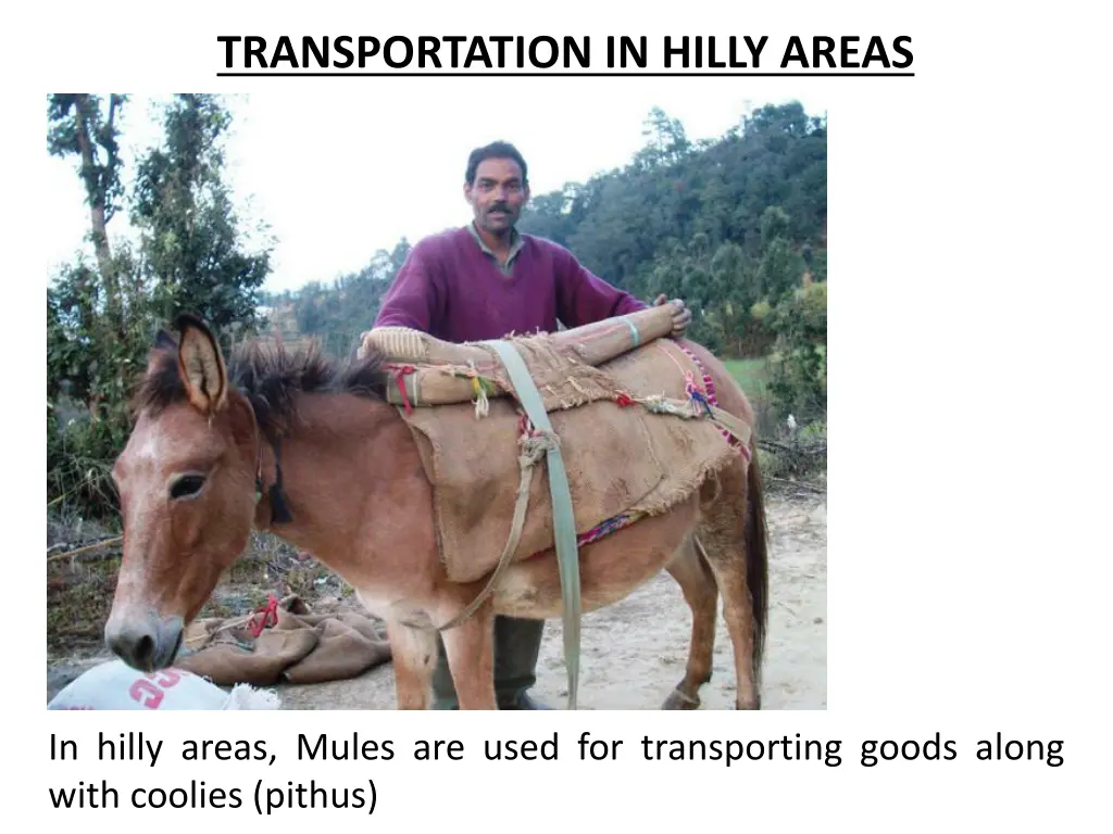 transportation in hilly areas