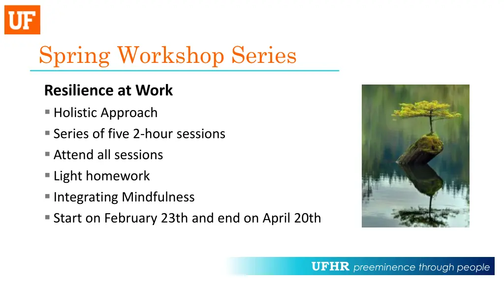 spring workshop series