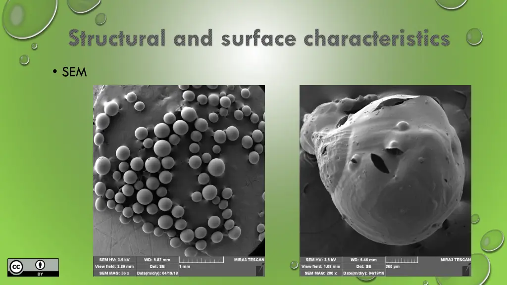structural and surface characteristics