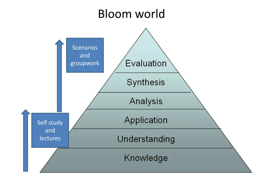 bloom world
