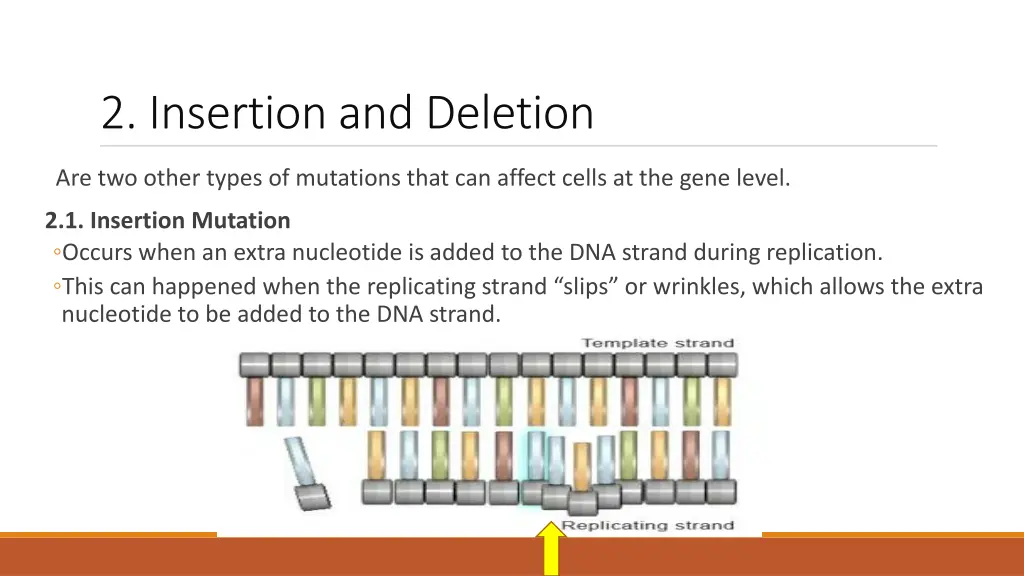2 insertion and deletion