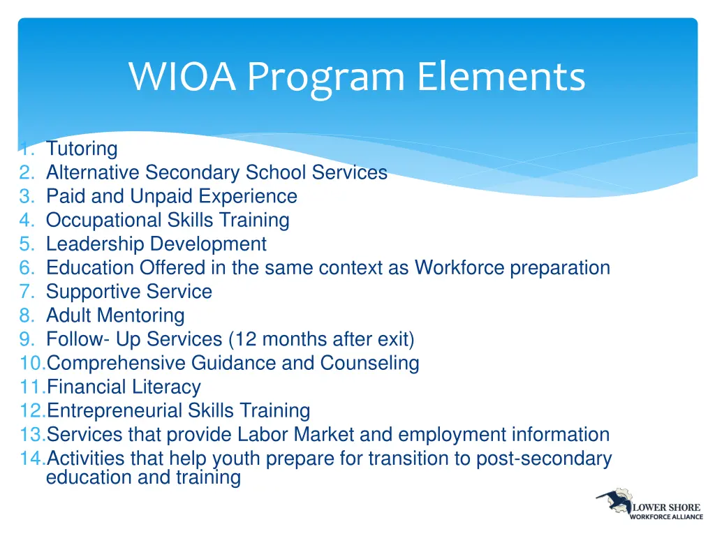 wioa program elements