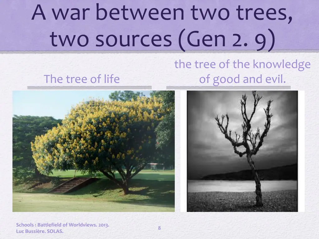 a war between two trees two sources gen 2 9