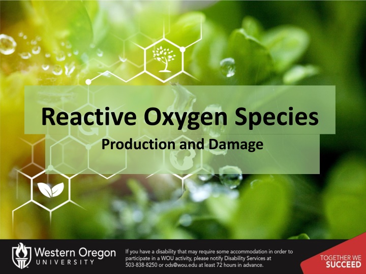 reactive oxygen species production and damage