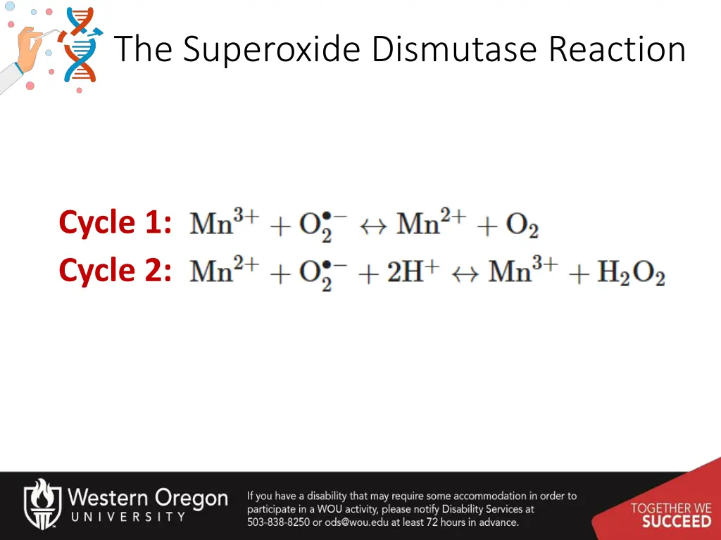 the superoxide dismutase reaction