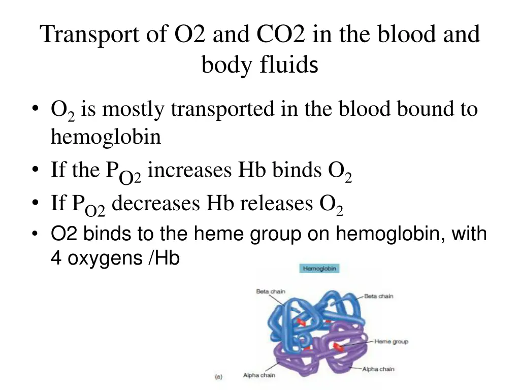 transport of o2 and co2 in the blood and body
