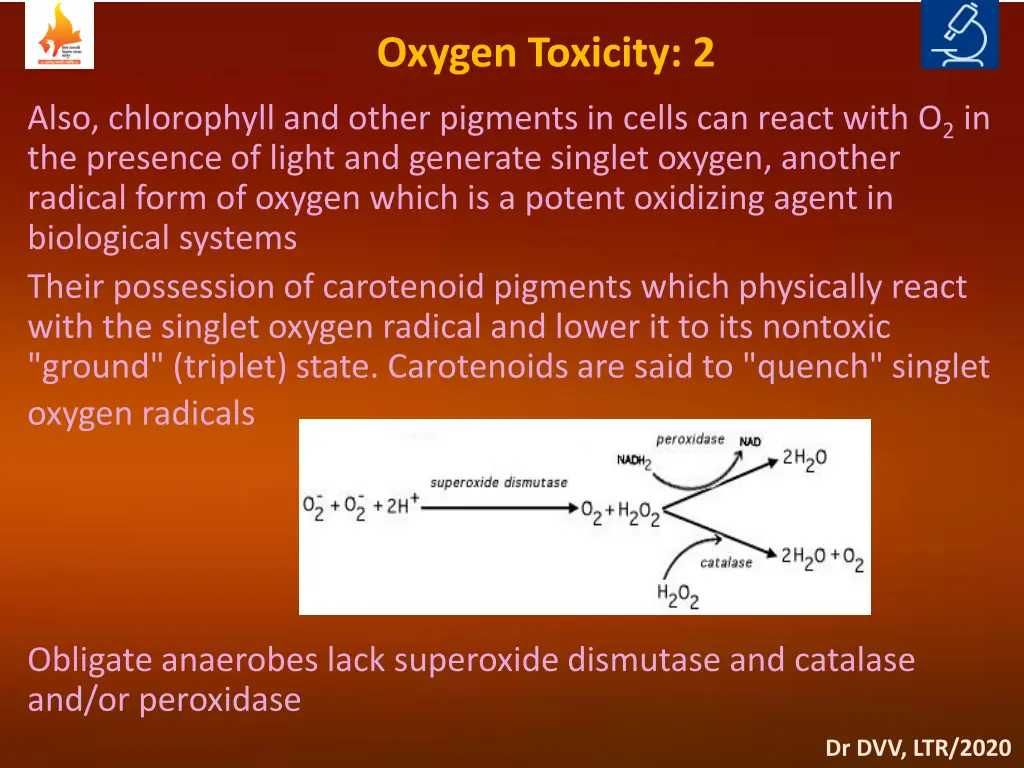 oxygen toxicity 2