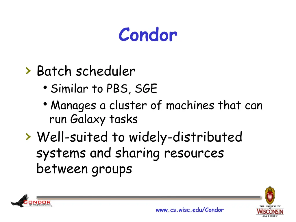 condor