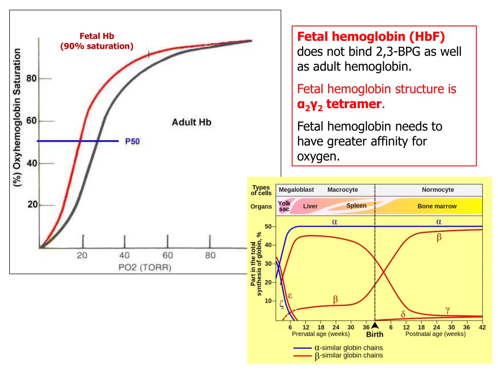 fetal hemoglobin hbf does not bind