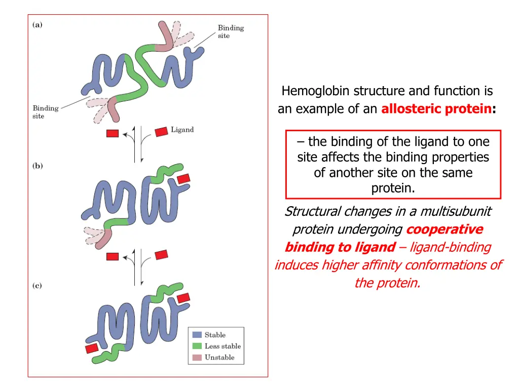 hemoglobin structure and function is an example