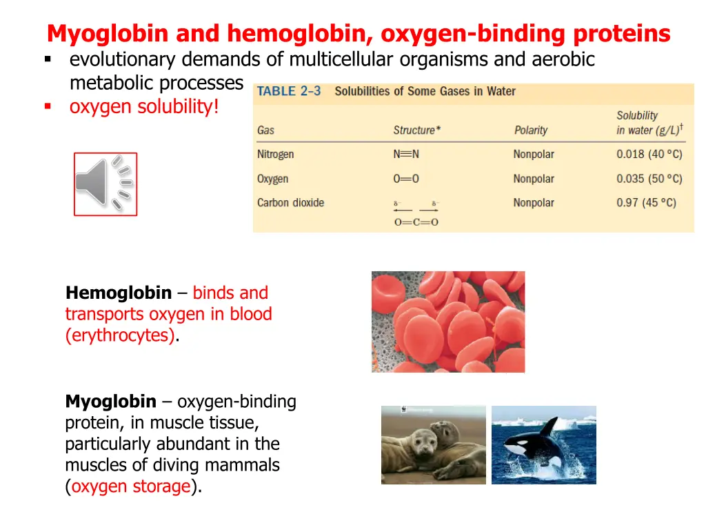 myoglobin and hemoglobin oxygen binding proteins
