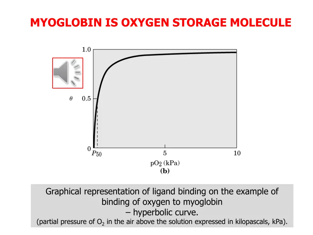 myoglobin is oxygen storage molecule