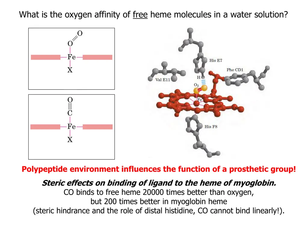 what is the oxygen affinity of free heme