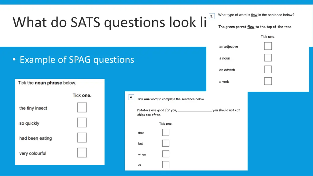 what do sats questions look like 2
