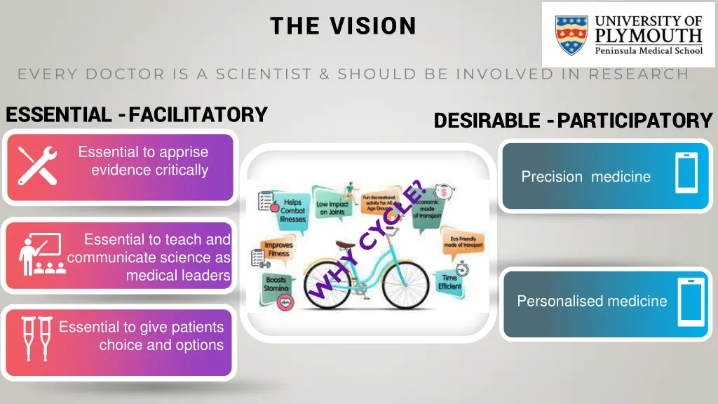 the vision