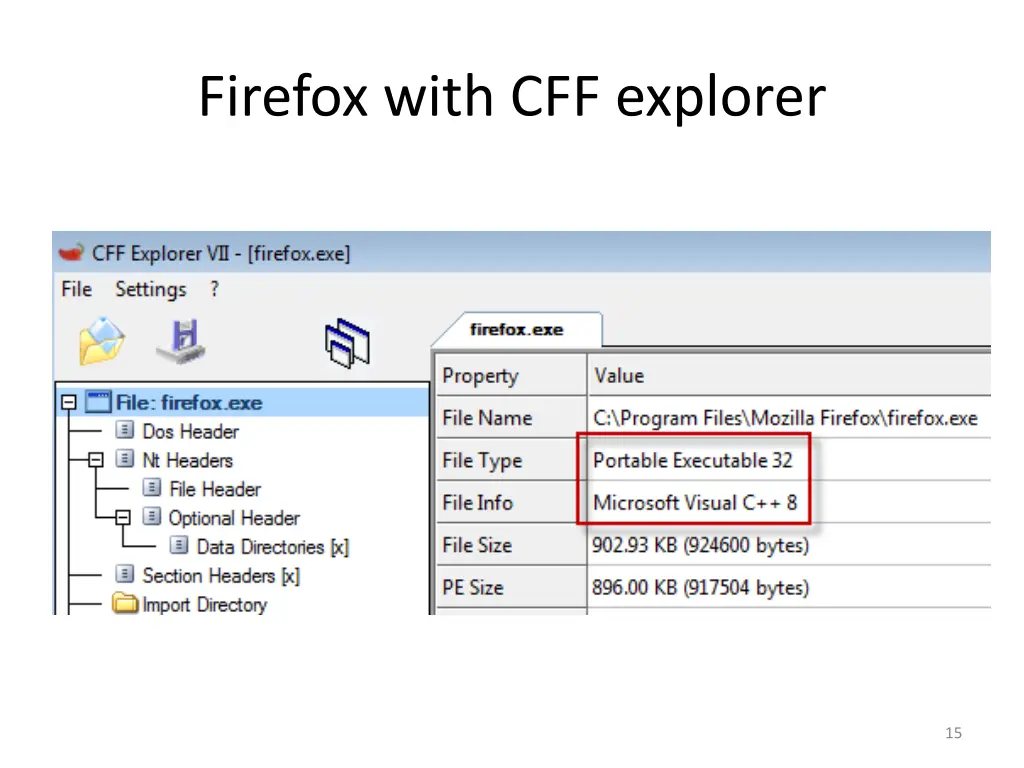 firefox with cff explorer 1