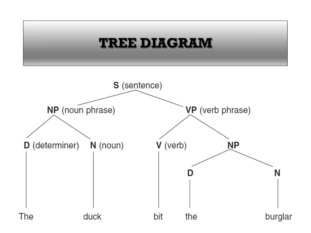 tree diagram 1