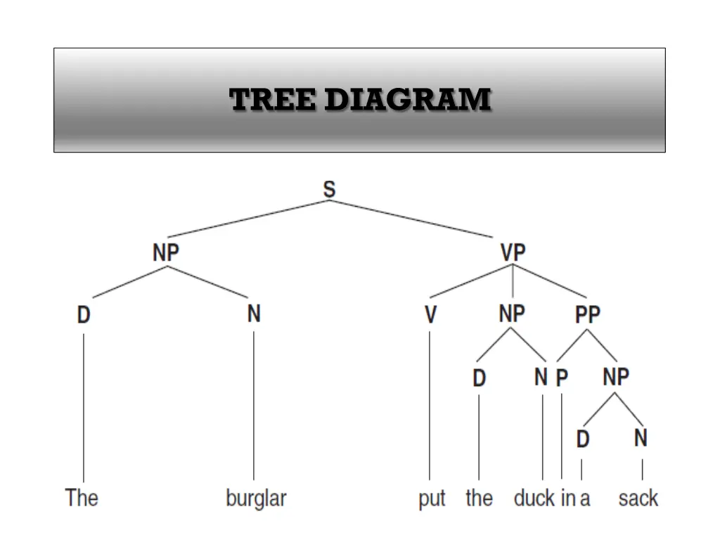tree diagram 3