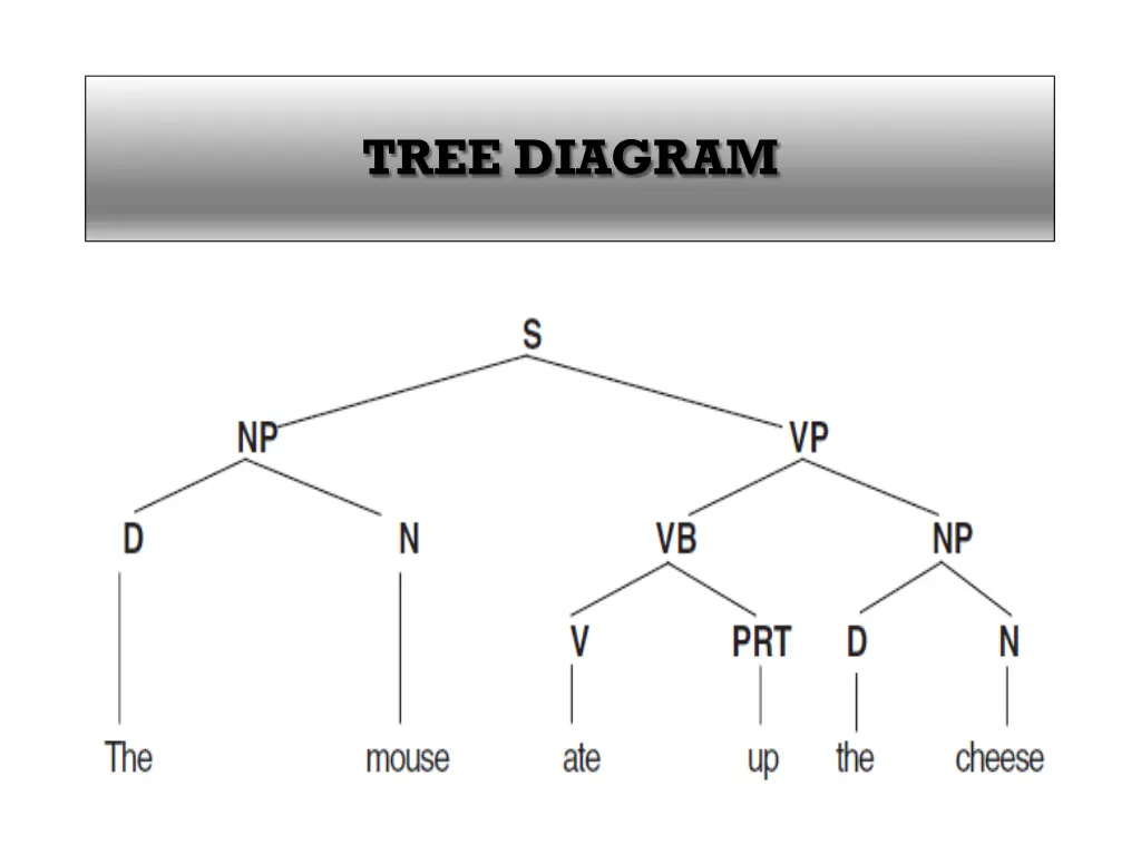 tree diagram 4