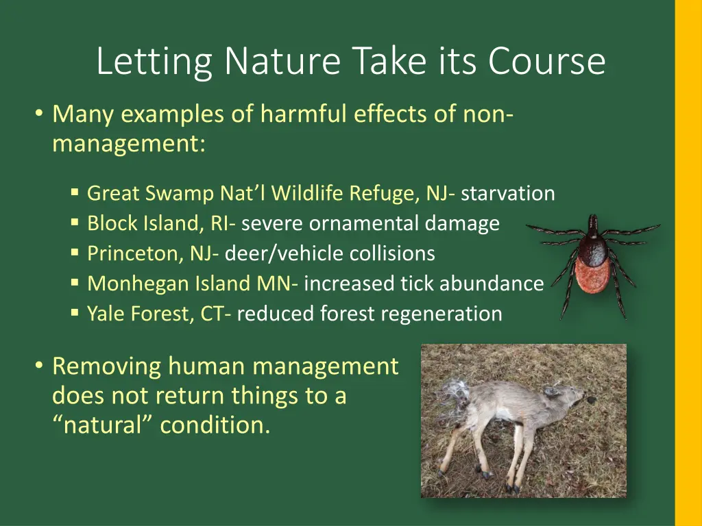 letting nature take its course 1