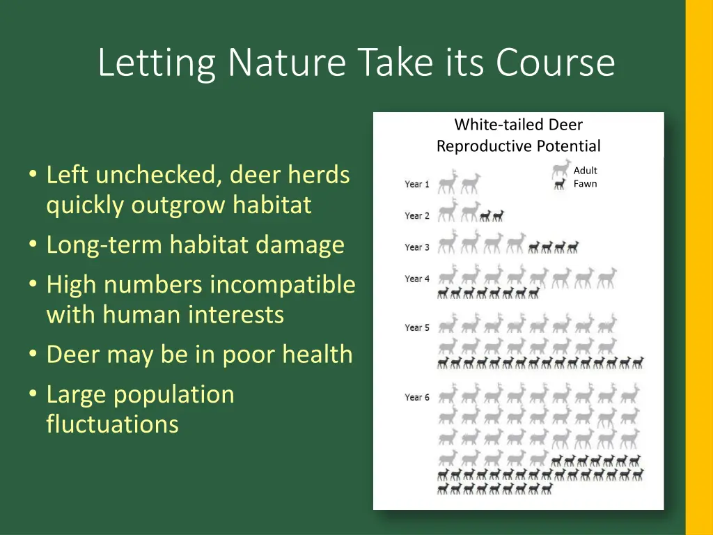 letting nature take its course