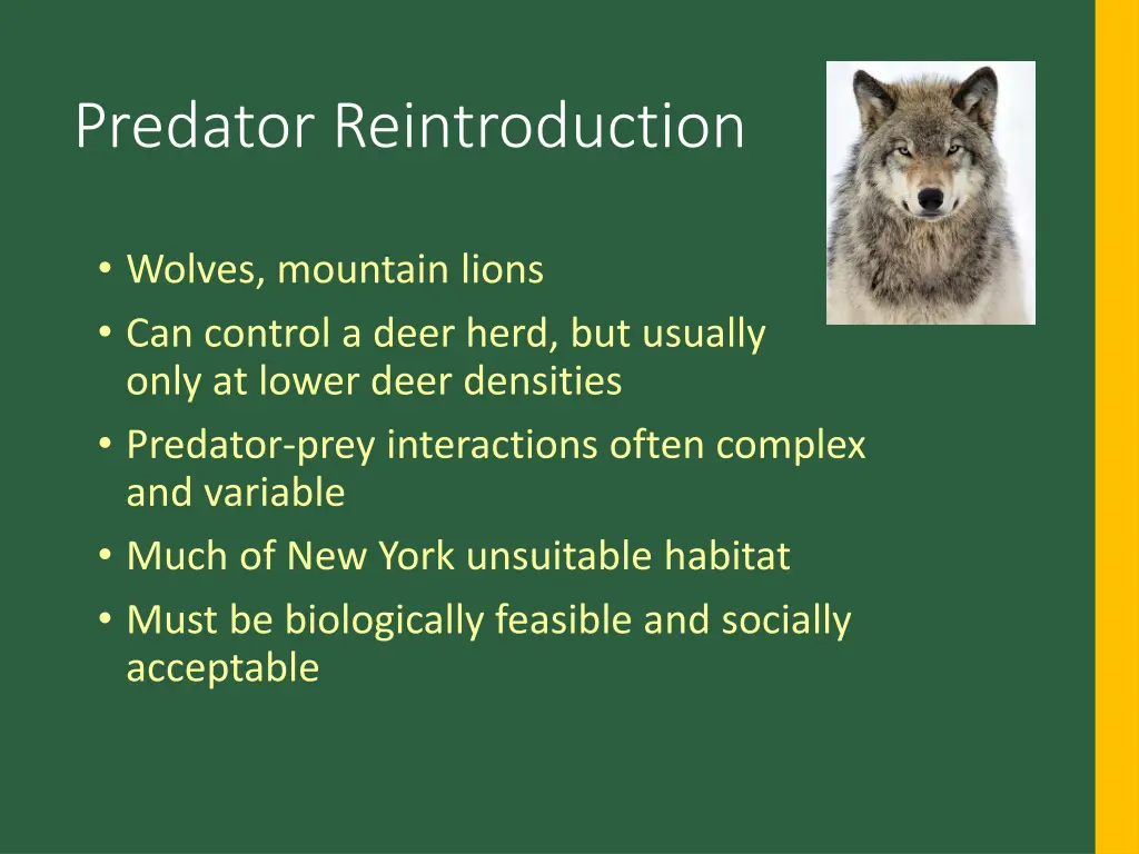 predator reintroduction