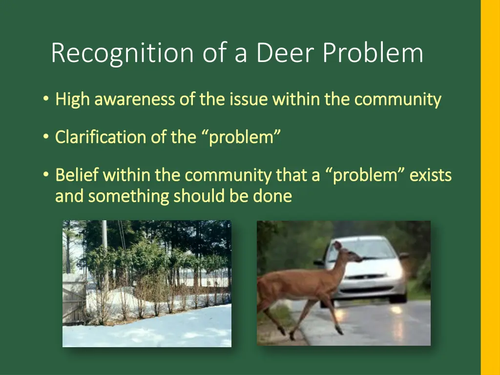 recognition of a deer problem