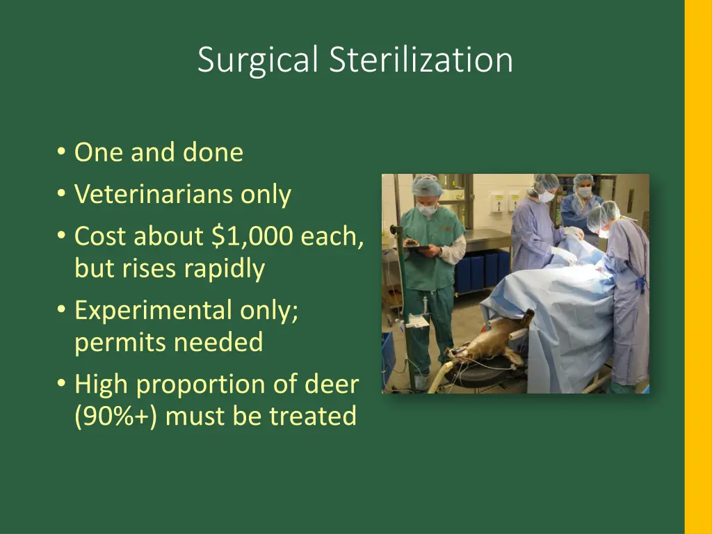 surgical sterilization