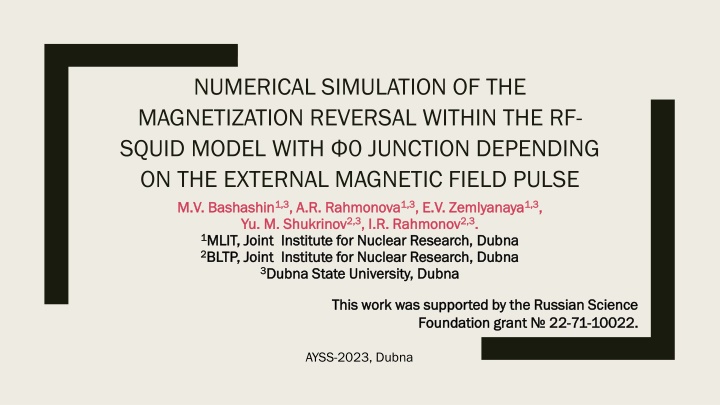 numerical simulation of the magnetization