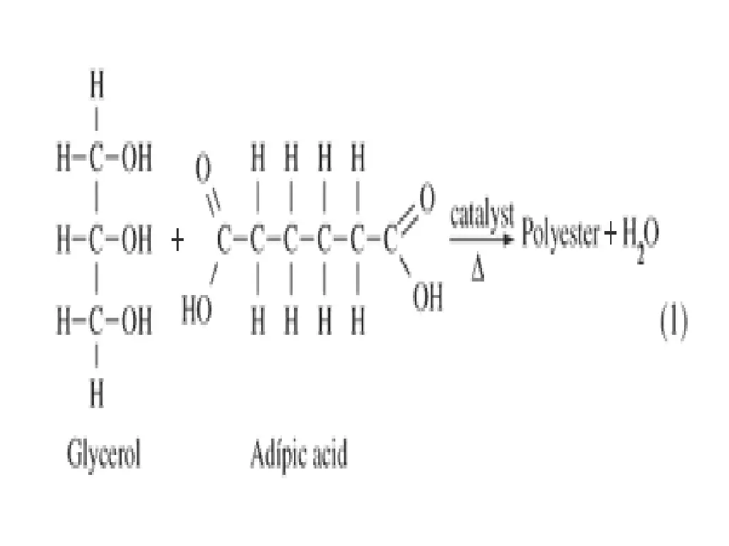 slide12