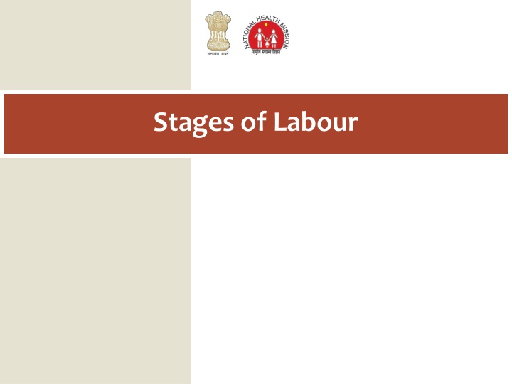 stages of labour